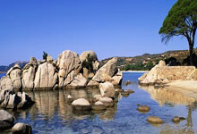 波士顿凯尔特人vs丹佛掘金-九游网页版入口